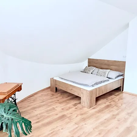 Chaloupka Lägenhet Hlučín